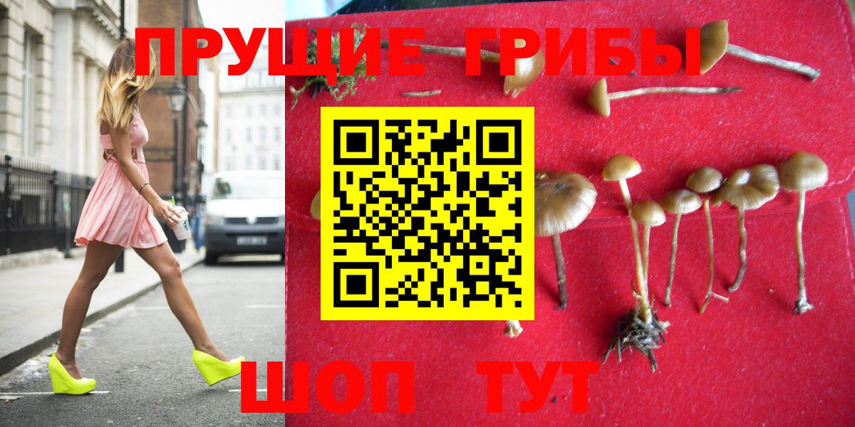 Галлюциногенные грибы GOLDEN TEACHER  хочу наркоту  Галлюциногенные грибы Psilocybine cubensis  Десногорск  Вход с VPN 