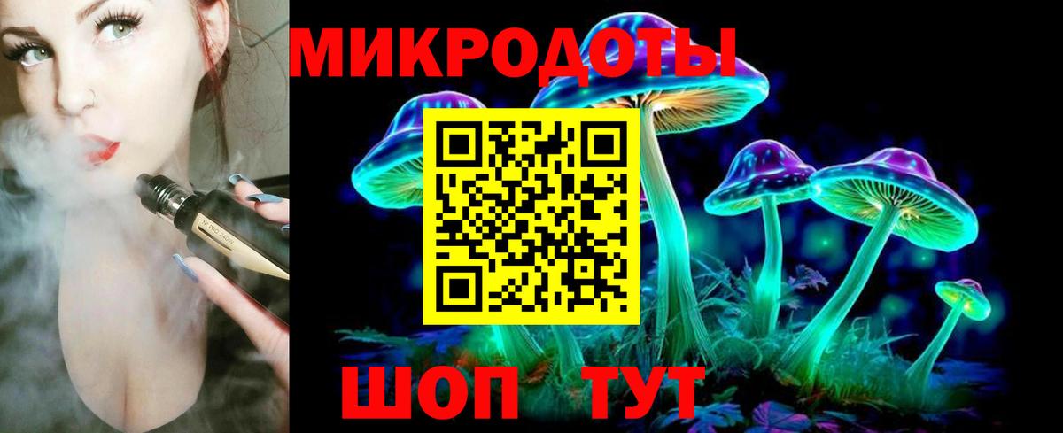 Галлюциногенные грибы Psilocybine cubensis Десногорск